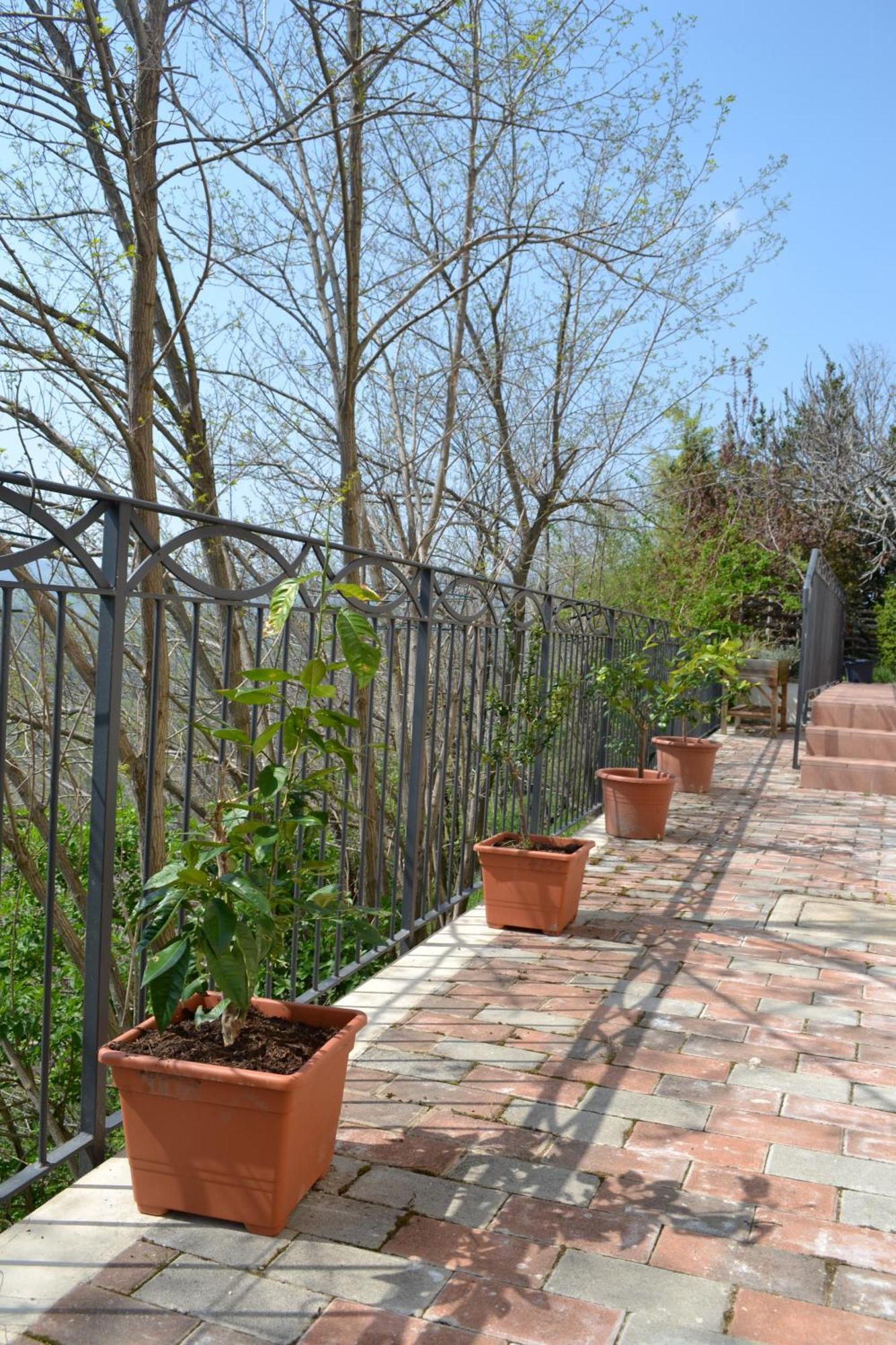 B&B Ca Biocco Sogliano al Rubicone Exterior foto
